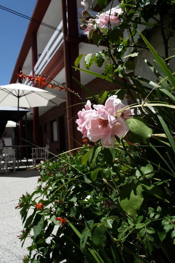 Hosteria Robert บียาเจเซลล์ ภายนอก รูปภาพ
